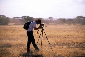 Serengeti